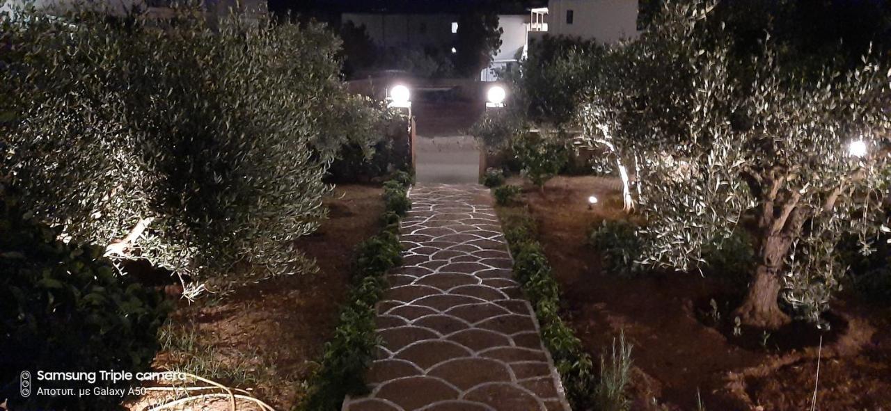 アンティパロス島Ranias Houseアパートメント エクステリア 写真